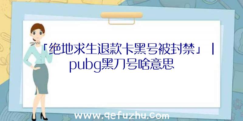 「绝地求生退款卡黑号被封禁」|pubg黑刀号啥意思